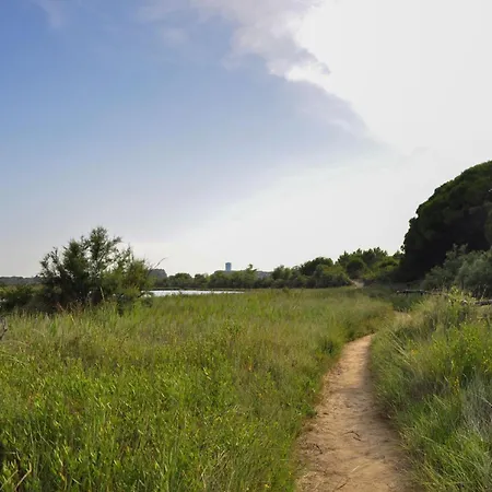 Apartman Downtown By The *